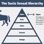 Male Personalities Hierarchy