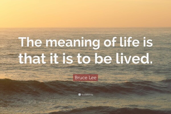 Meaning of Life Quotes