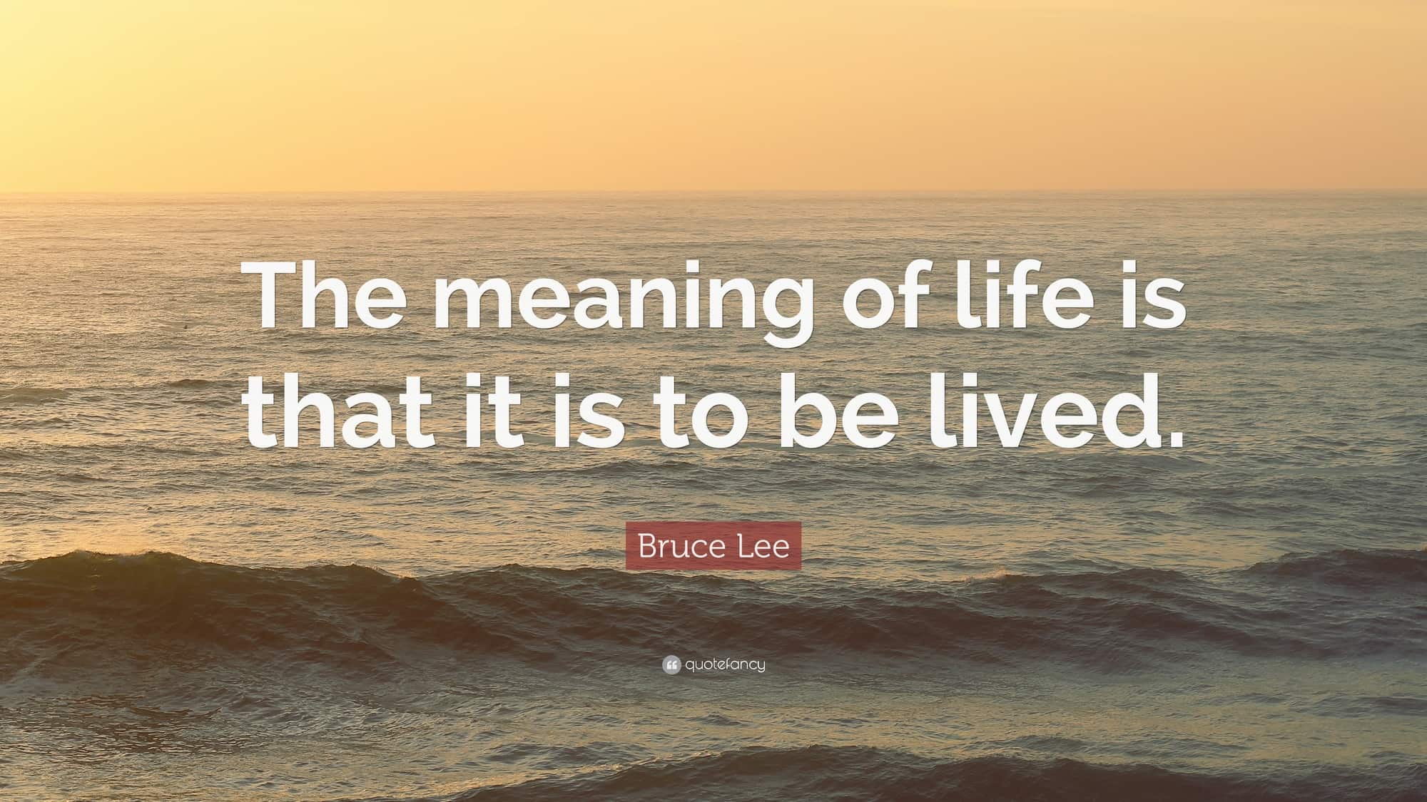 Meaning of Life Quotes